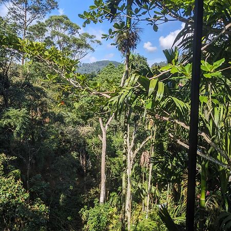 Ella Jungle Inn Homestay And Tree House Buitenkant foto