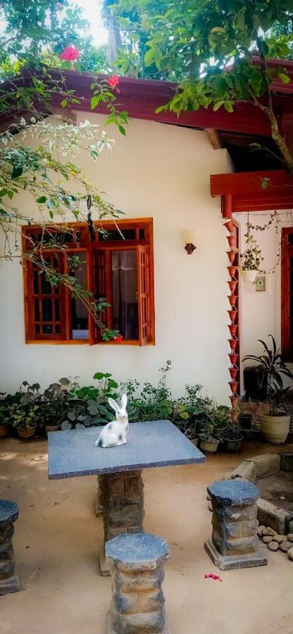 Ella Jungle Inn Homestay And Tree House Buitenkant foto