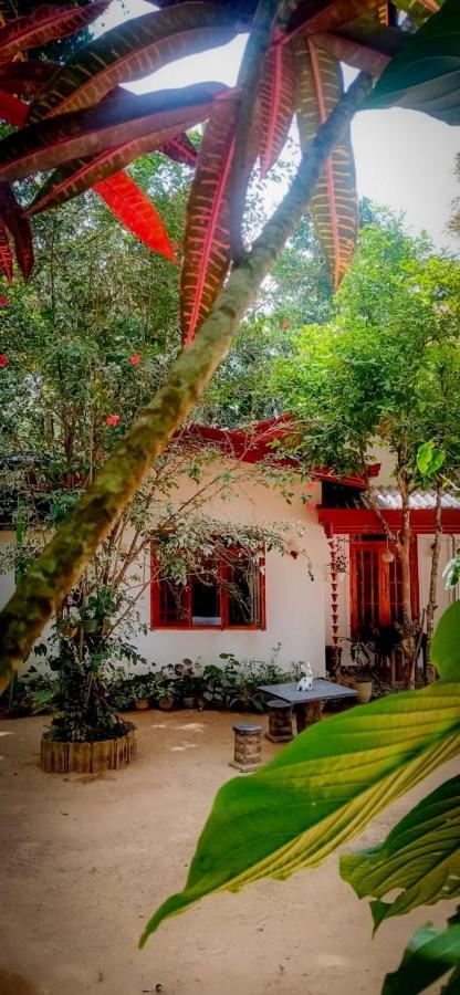 Ella Jungle Inn Homestay And Tree House Buitenkant foto