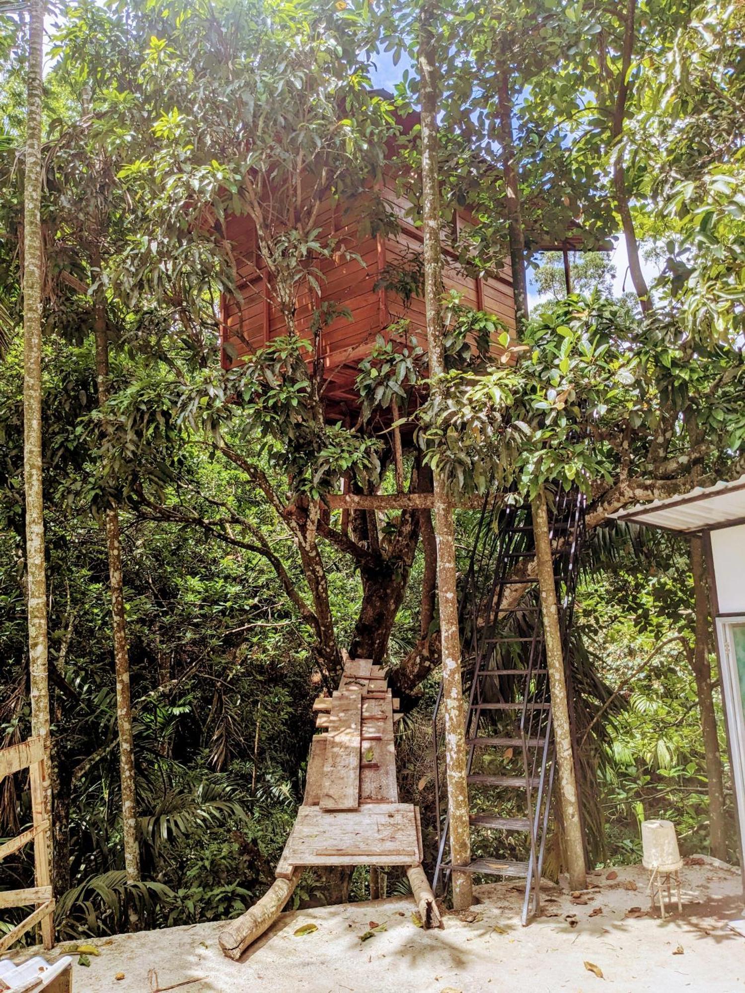 Ella Jungle Inn Homestay And Tree House Buitenkant foto