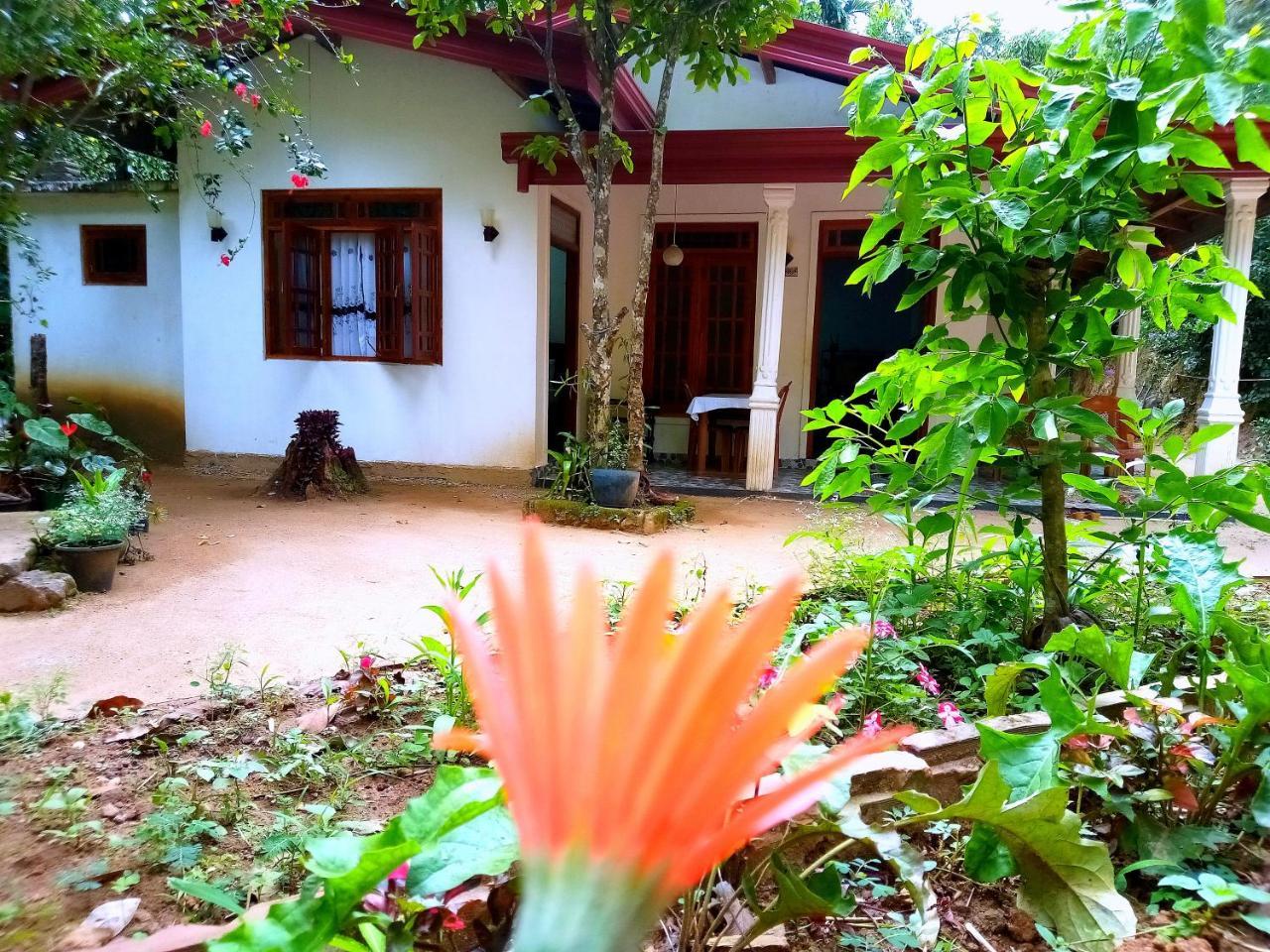 Ella Jungle Inn Homestay And Tree House Buitenkant foto