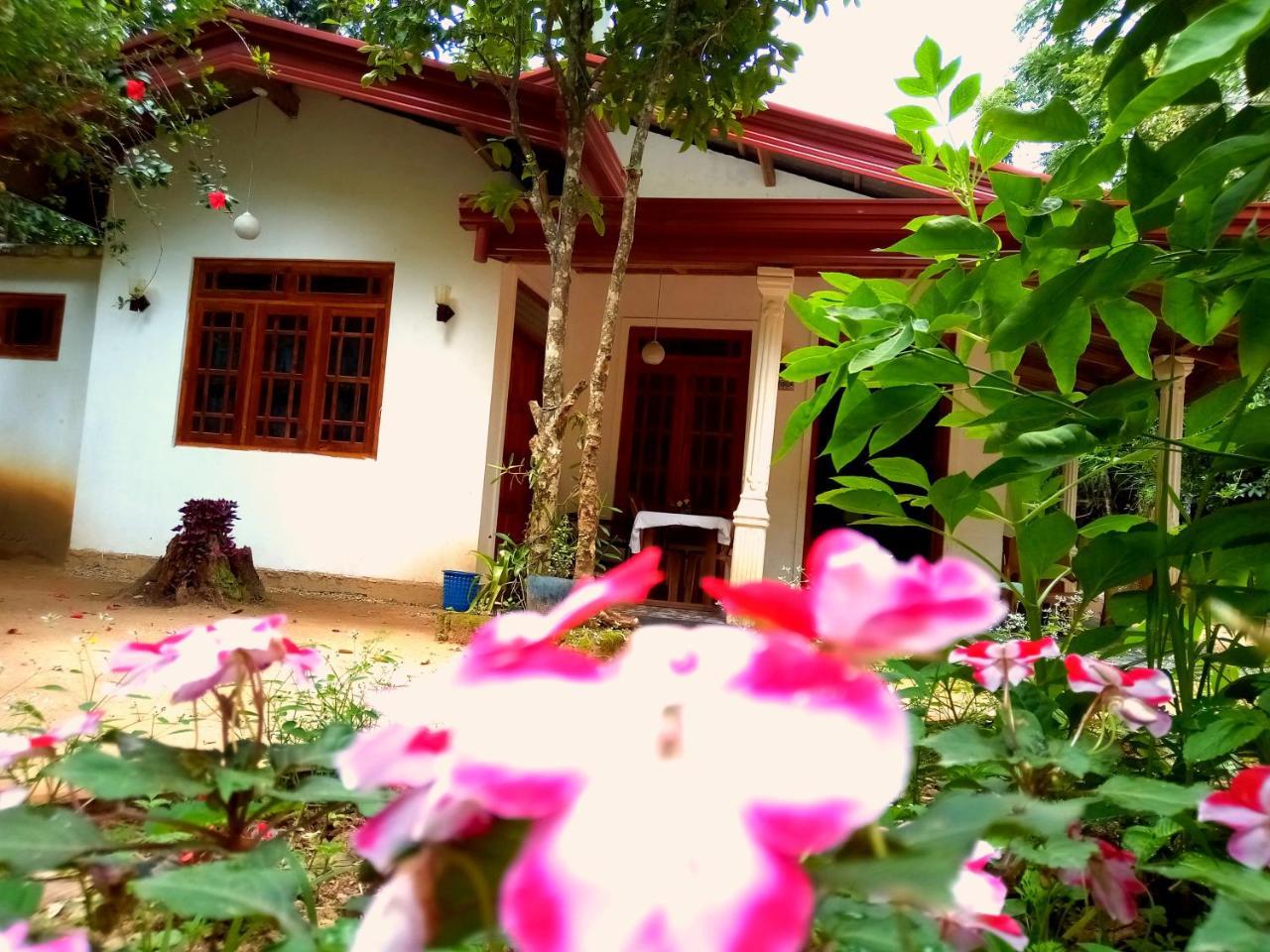 Ella Jungle Inn Homestay And Tree House Buitenkant foto