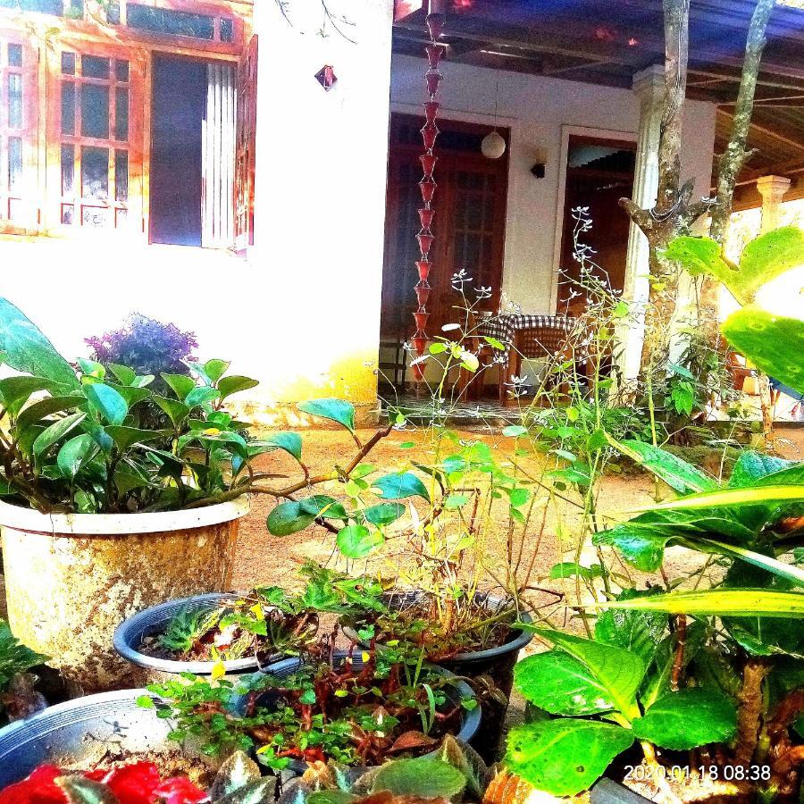 Ella Jungle Inn Homestay And Tree House Buitenkant foto